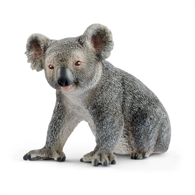 Koala Koalas Koala Bear Koala Bear Gift' Women's Jersey Leggings