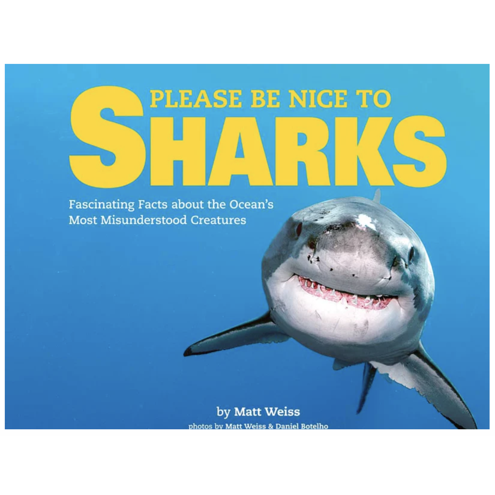 Fascinating Shark Facts