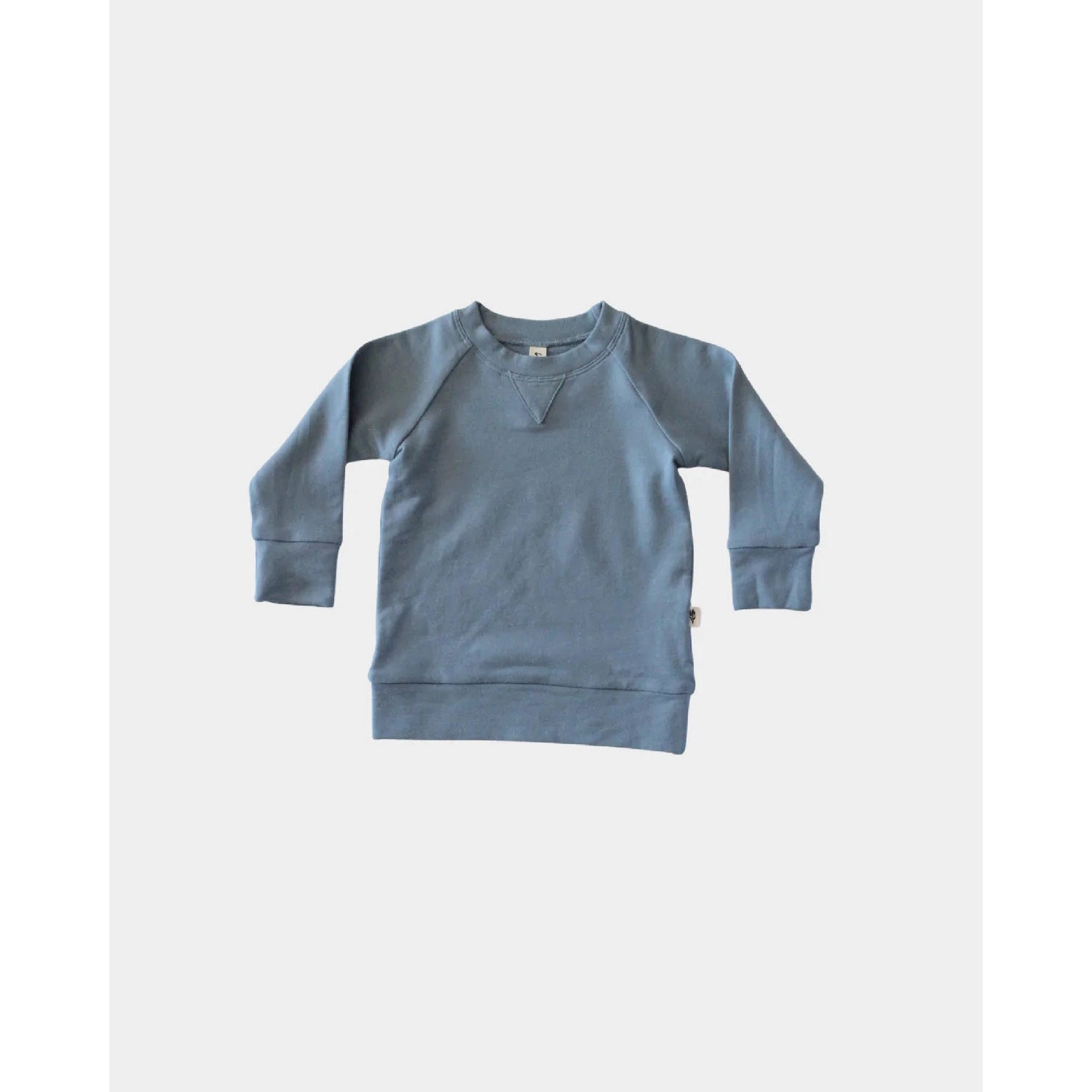 Baby Sprouts Slate Blue Raglan Sweatshirt