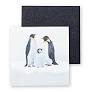 C. R. Gibson Gift Enclosure Card - Penguin-CR GIBSON-Little Giant Kidz