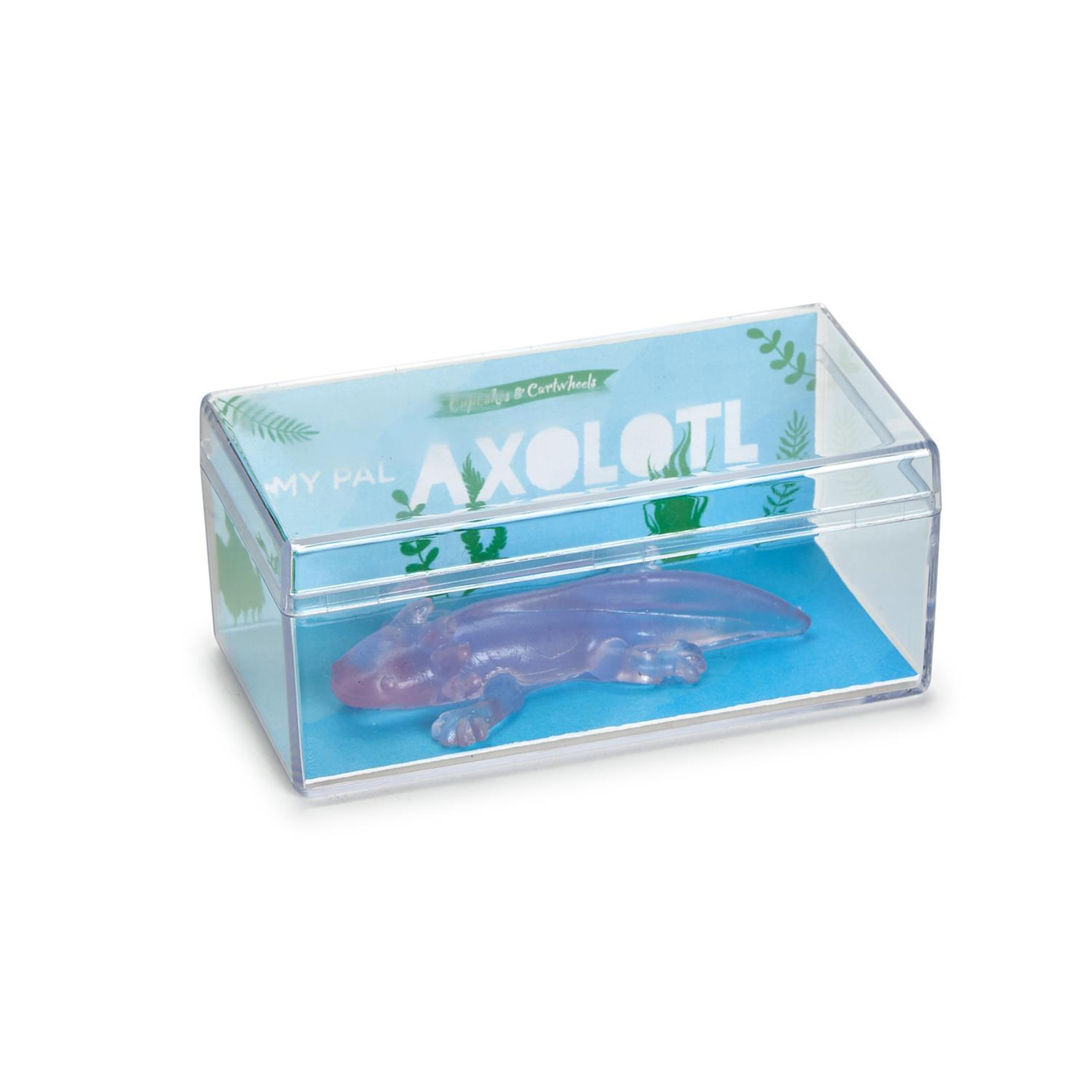 Cupcakes & Cartwheels Awesome Translucent Axolotl in Gift Box-CUPCAKES & CARTWHEELS-Little Giant Kidz