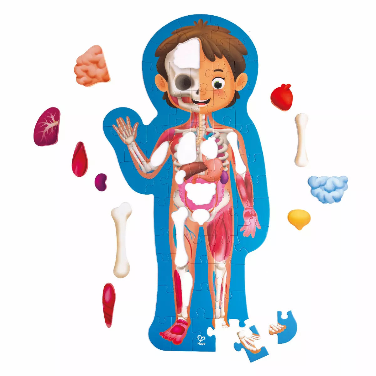 Hape Human Body Puzzle-HAPE-Little Giant Kidz