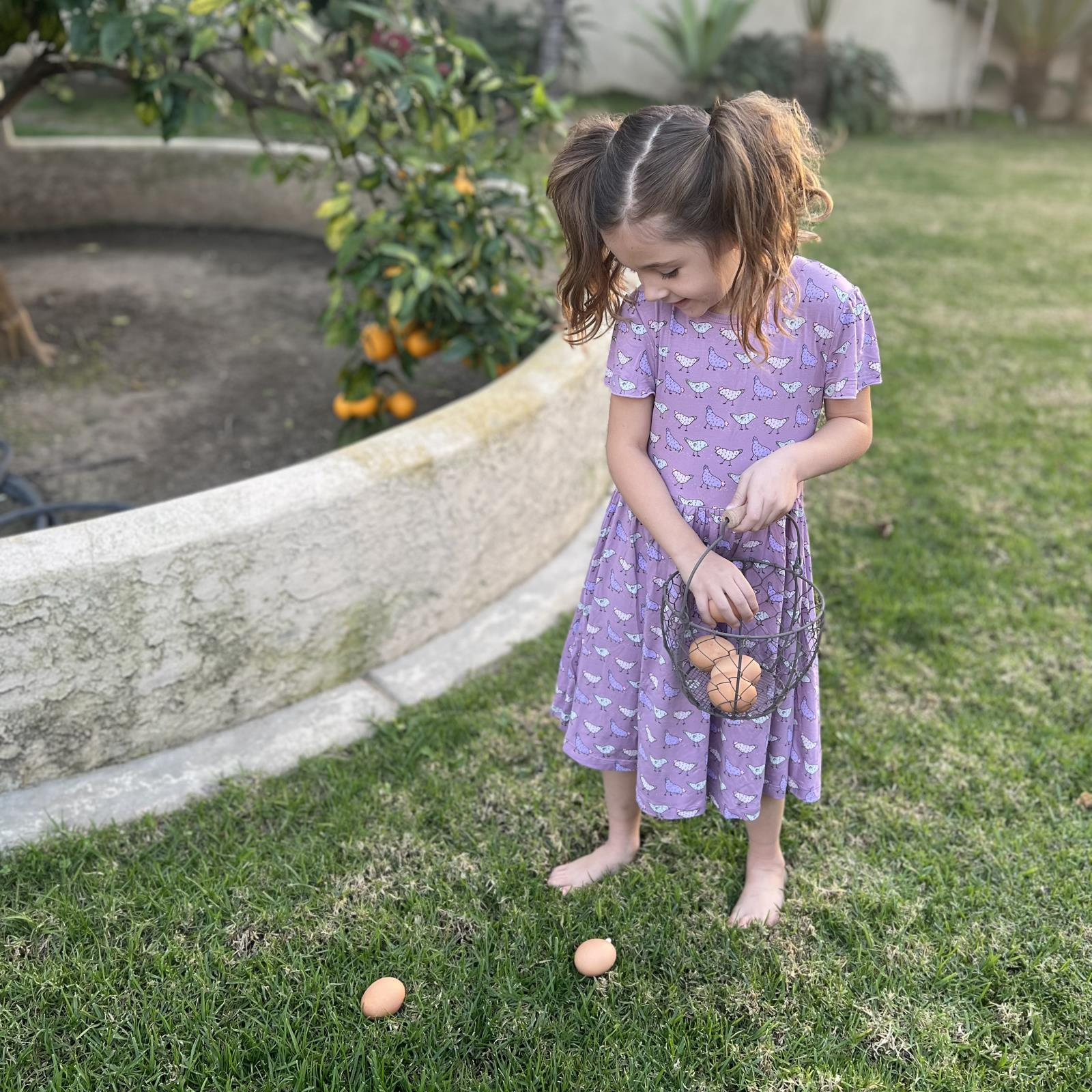 Kickee Pants Flutter Sleeve Twirl Dress with Pockets- Lavender Chickens-Kickee Pants-Little Giant Kidz