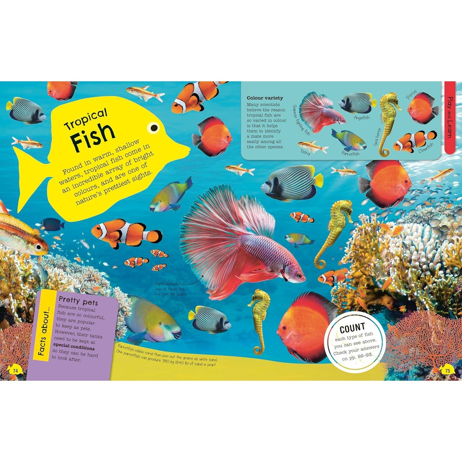 Penguin Random House: The Fact-Packed Activity Book Sharks and Other Sea Creatures (Paperback Book)-PENGUIN RANDOM HOUSE-Little Giant Kidz