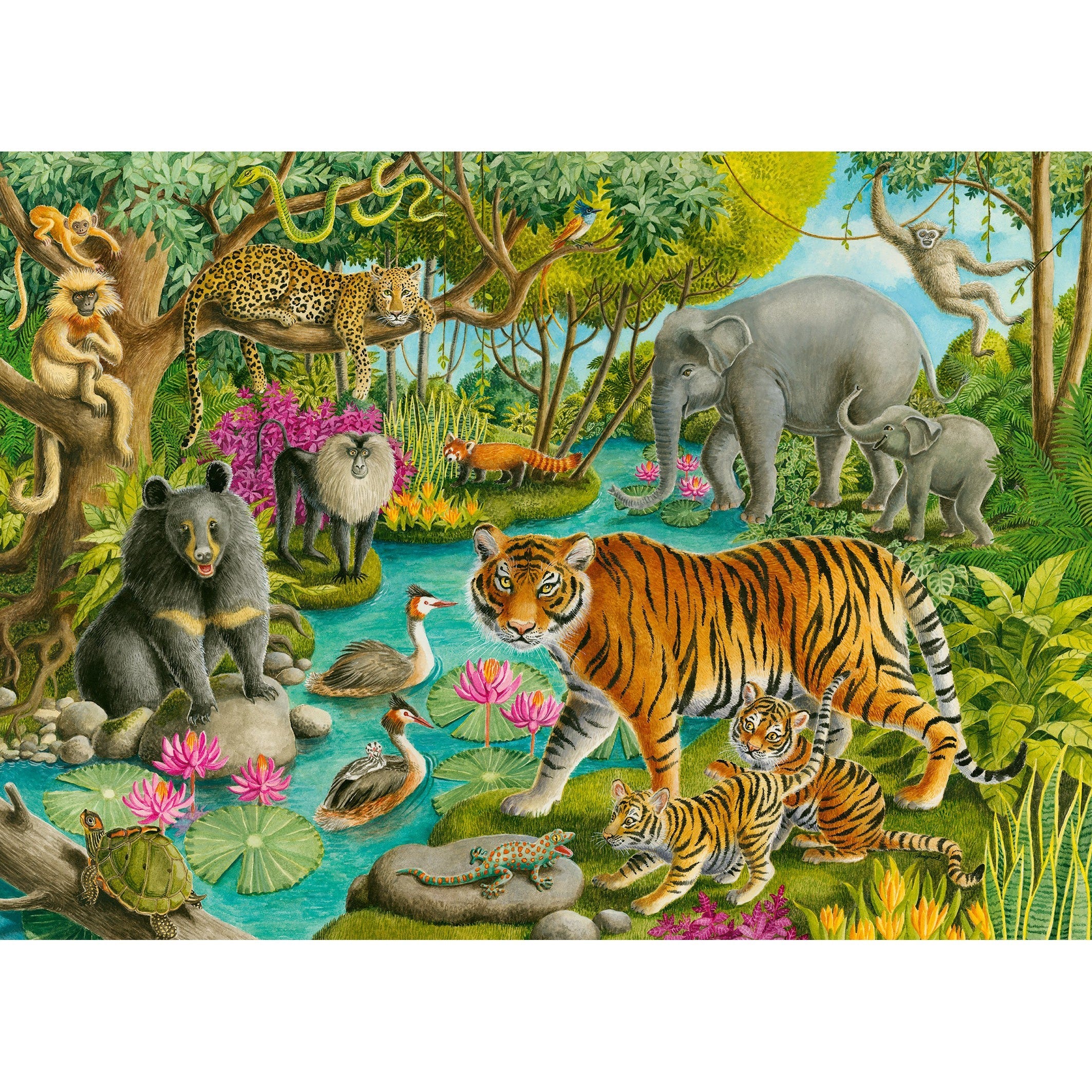 Ravensburger Animals of India 60 Piece Puzzle-RAVENSBURGER-Little Giant Kidz