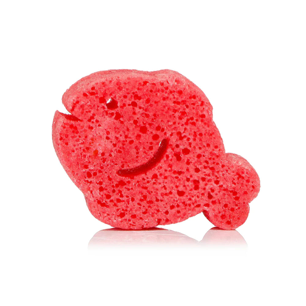 Spongelle Fiona Fish Sea Animals Sponge-Spongelle-Little Giant Kidz