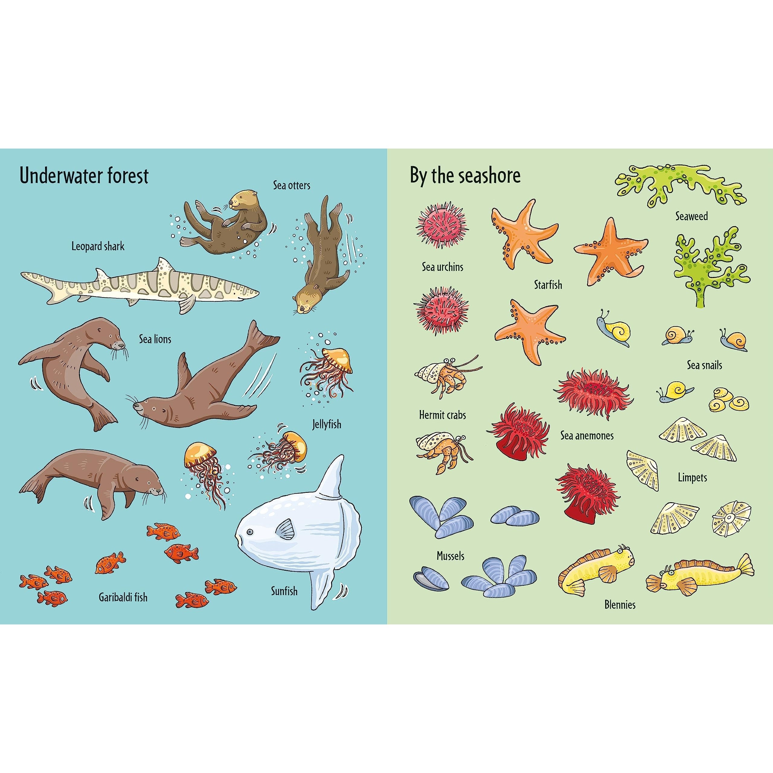 Usborne Books: First Sticker Book - Under The Sea (Paperback Book ...