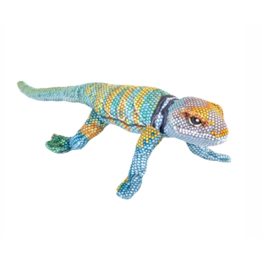 Wild Republic Coilkins Collard Lizard-Wild Republic-Little Giant Kidz