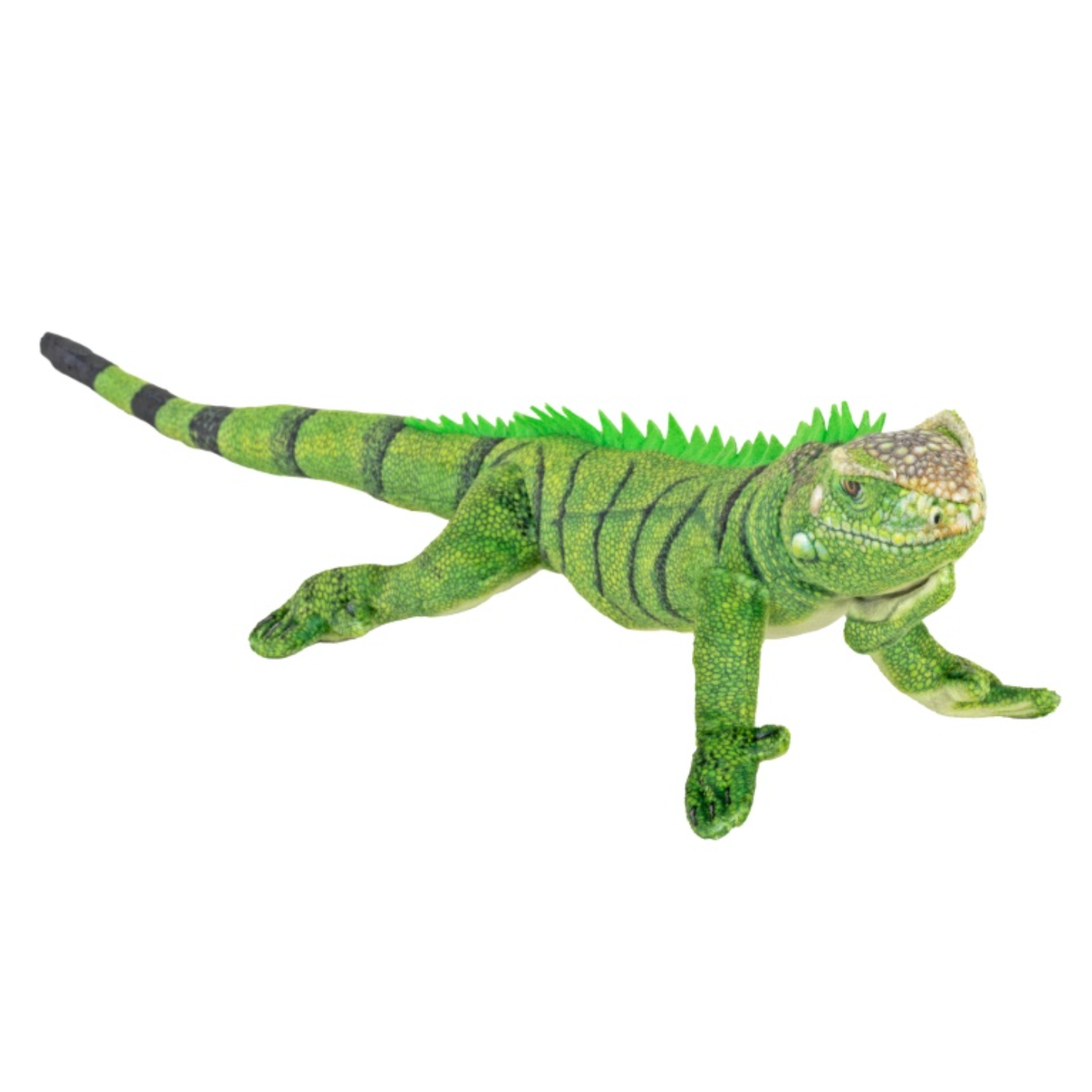 Wild Republic Coilkins Iguana-Wild Republic-Little Giant Kidz