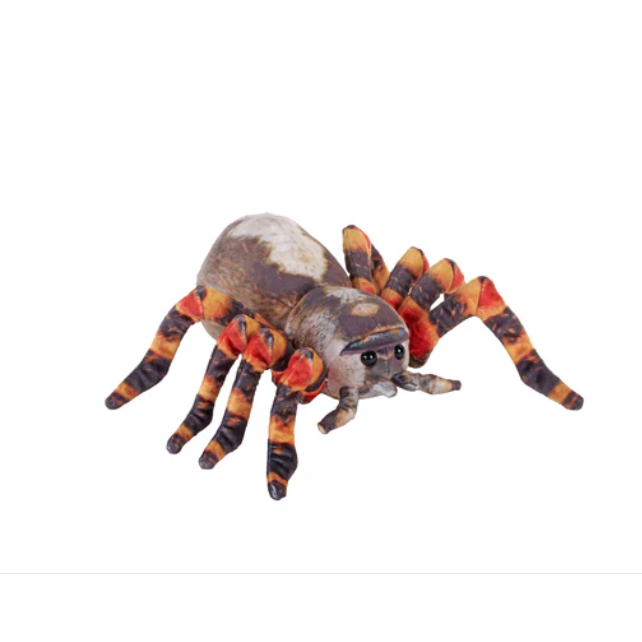 Wild Republic Living Tarantula-Wild Republic-Little Giant Kidz