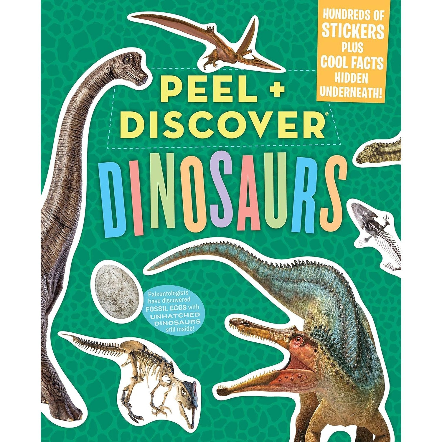 Workman Publishing: Peel + Discover: Dinosaurs-HACHETTE BOOK GROUP USA-Little Giant Kidz