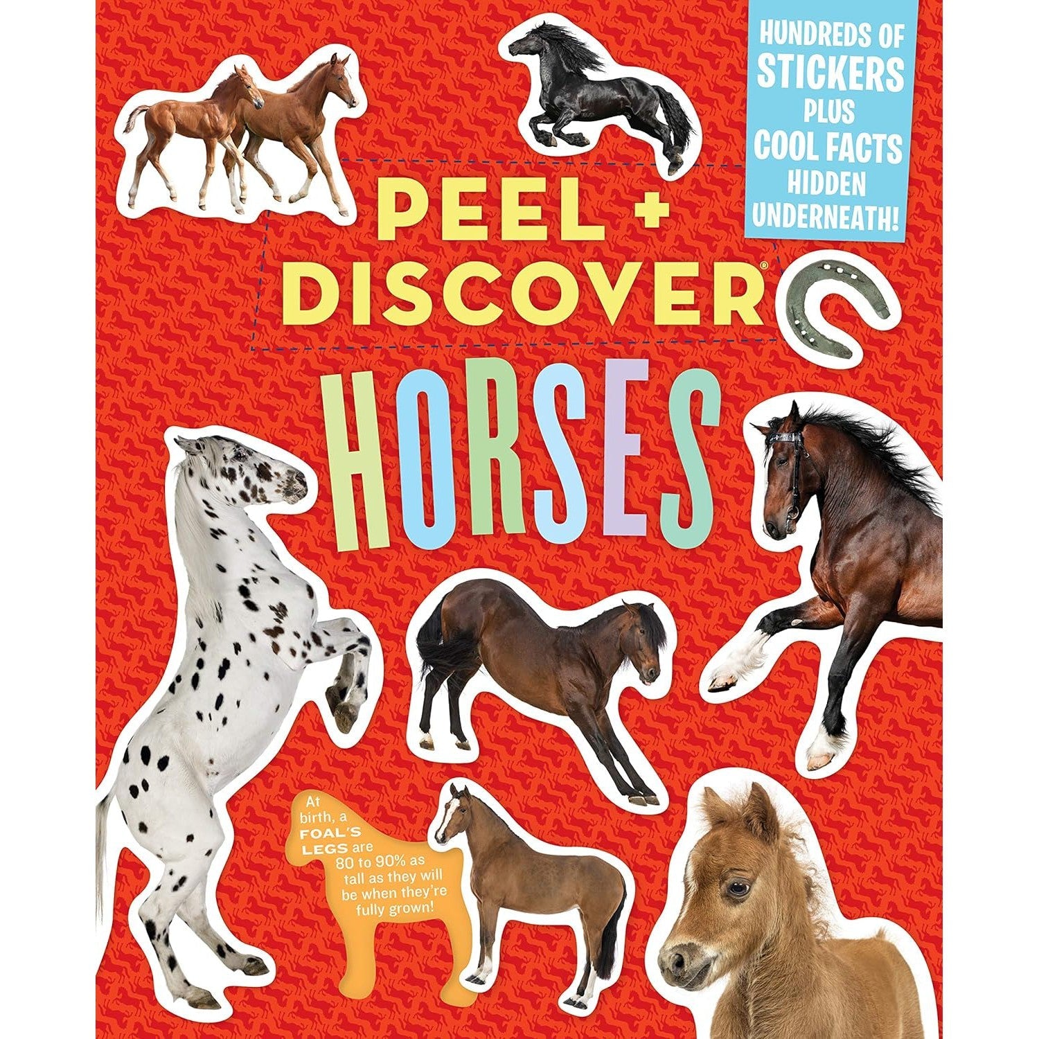 Workman Publishing: Peel + Discover: Horses-HACHETTE BOOK GROUP USA-Little Giant Kidz