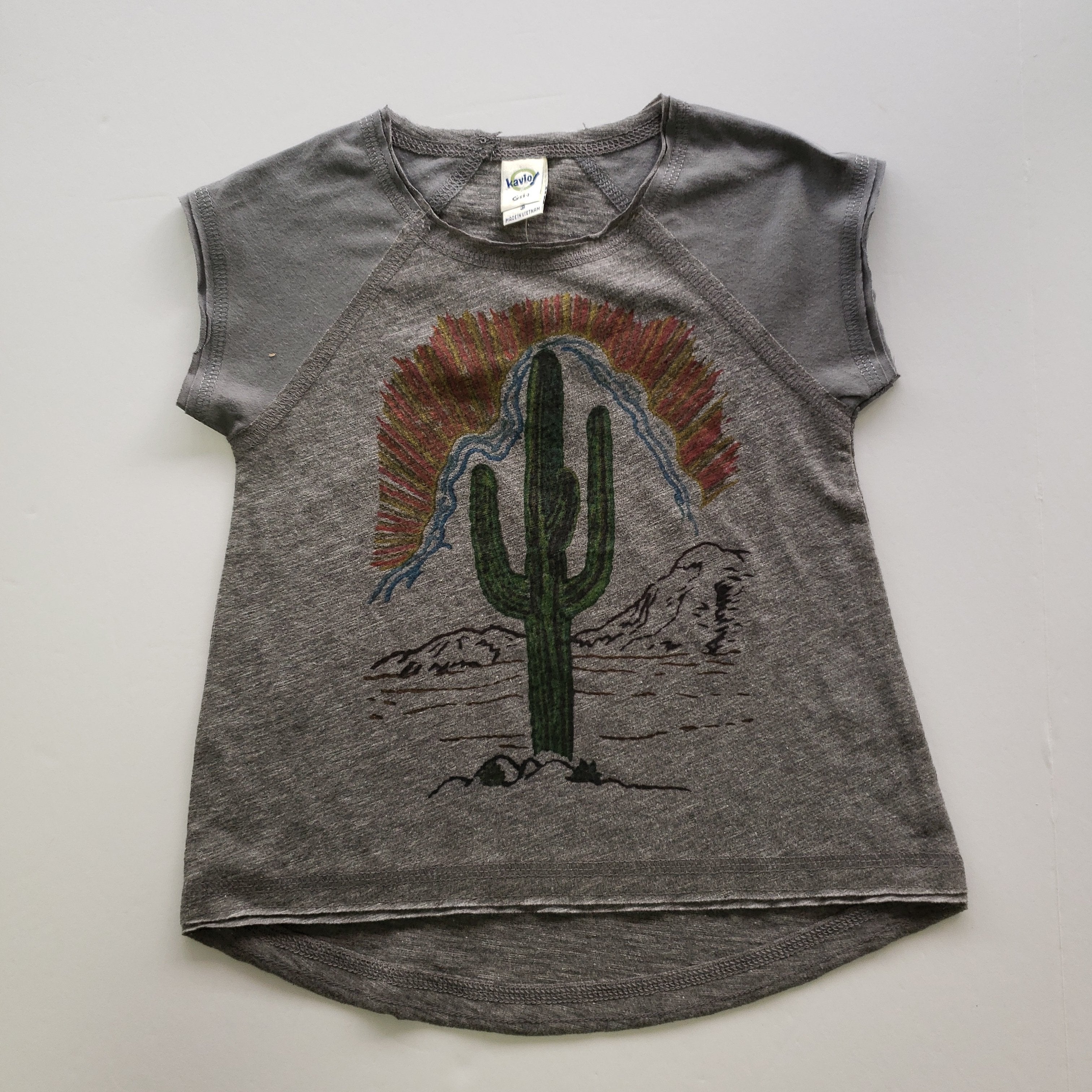 Bling-A-Gogo Cactus Sunset Dark Gray Tee-Bling-A-Gogo-Little Giant Kidz