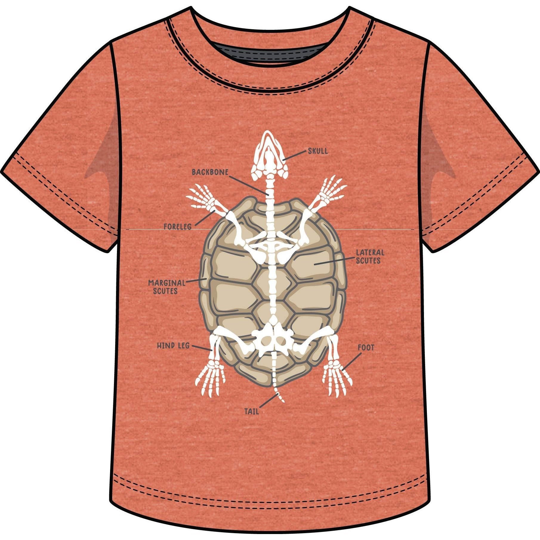 CR Sports Glow in the Dark Turtle Anatomy Tee - Heather Orange-CR SPORTS-Little Giant Kidz