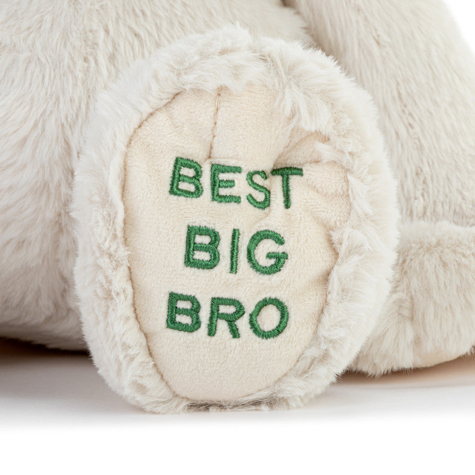 Demdaco Best Big Brother Plush Dog 16"-DEMDACO-Little Giant Kidz