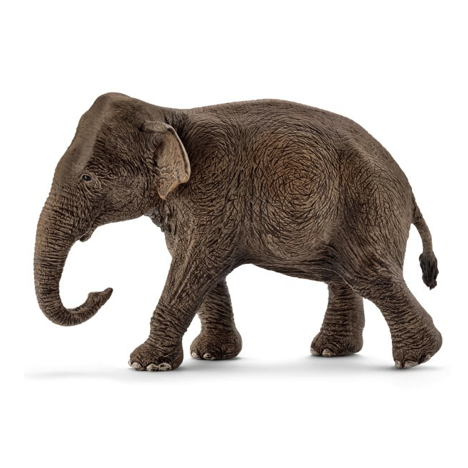 Schleich Asian Elephant - Female-SCHLEICH-Little Giant Kidz