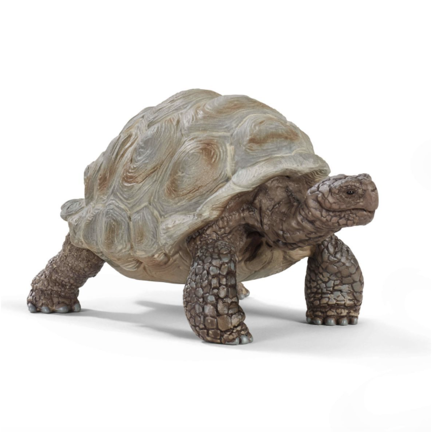 Schleich Giant Tortoise-SCHLEICH-Little Giant Kidz