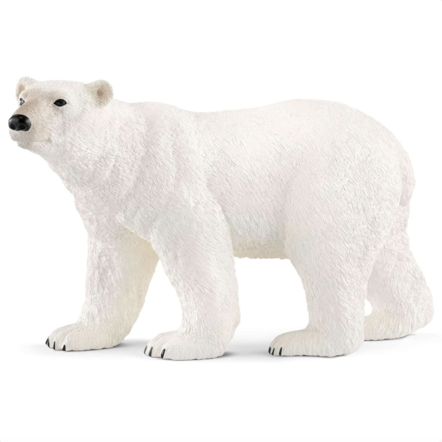 Schleich Polar Bear-SCHLEICH-Little Giant Kidz