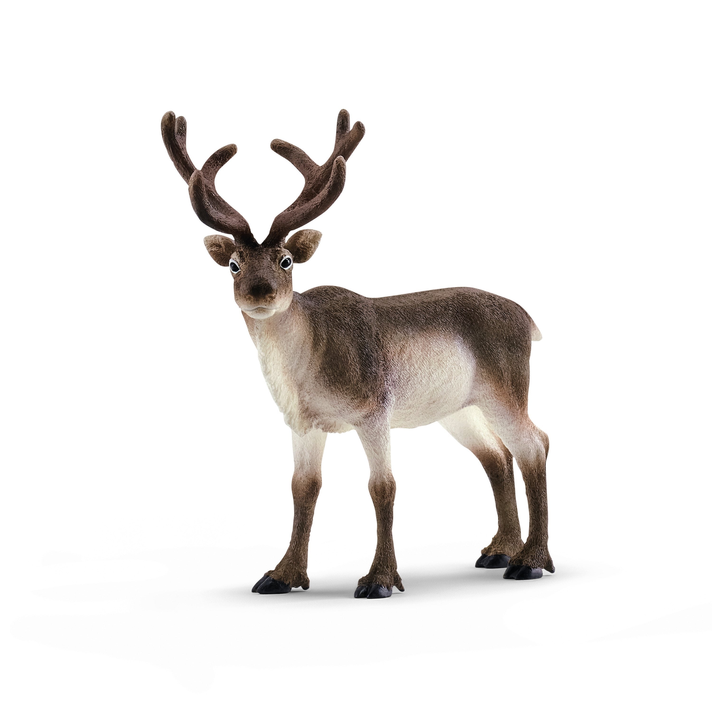 Schleich Reindeer-SCHLEICH-Little Giant Kidz