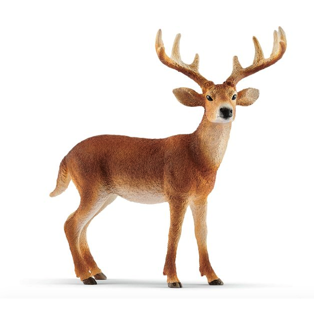 Schleich White-Tailed Buck-SCHLEICH-Little Giant Kidz