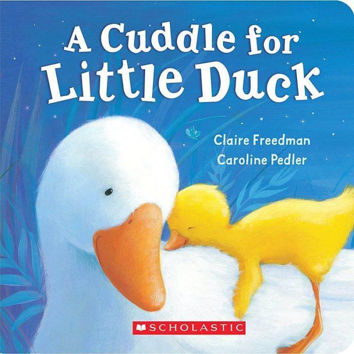 Scholastic: A Cuddle For Little Duck (Padded Board Book)-Scholastic-Little Giant Kidz