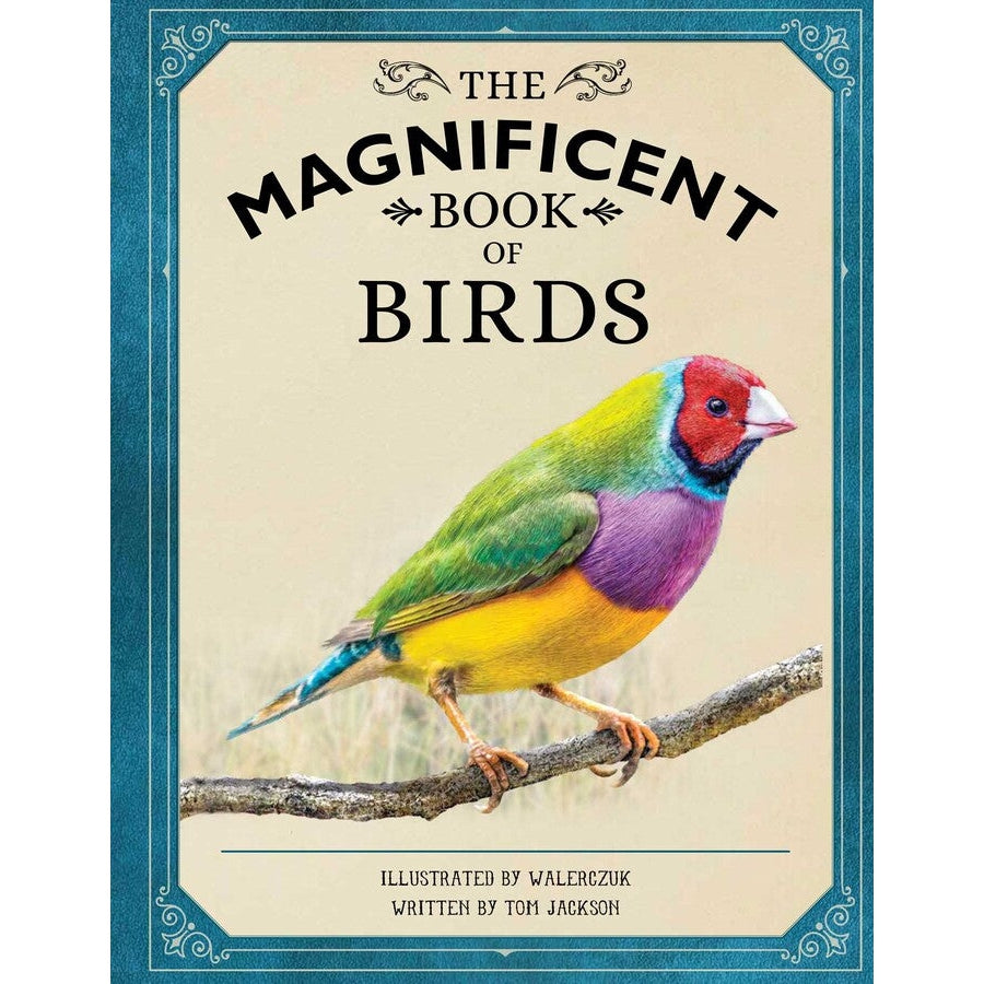 Simon & Schuster: The Magnificent Book of Birds (Hardcover Book)-SIMON & SCHUSTER-Little Giant Kidz